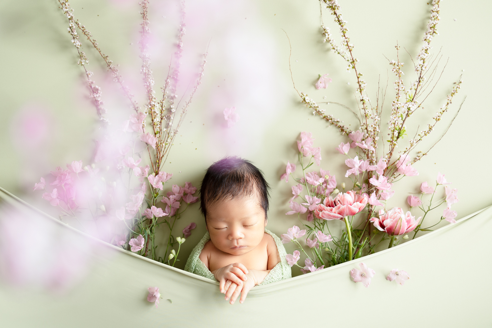 nanahoshi photography ニューボーンフォト　フラワーポケット　緑とお花に囲まれた赤ちゃん　生花