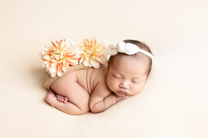 BASIC PLAN イメージ