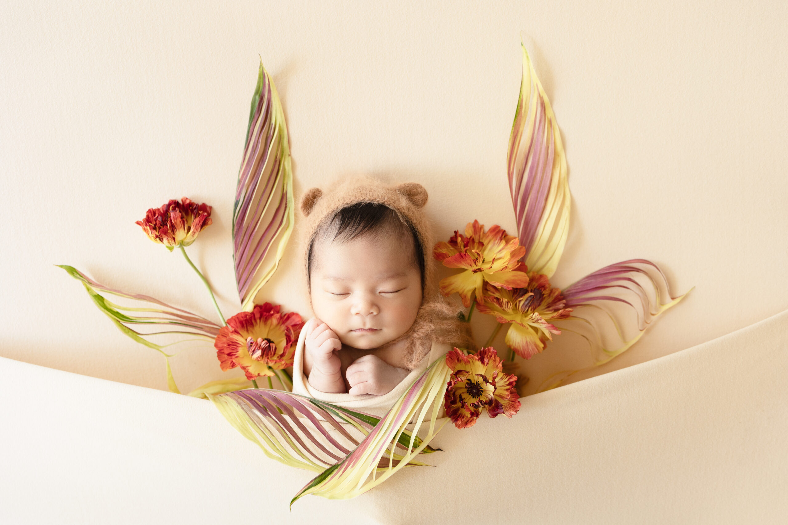 nanahoshi photography ニューボーンフォト　葉っぱの羽に囲まれた赤ちゃん　フラワーポケット　正面　生花
