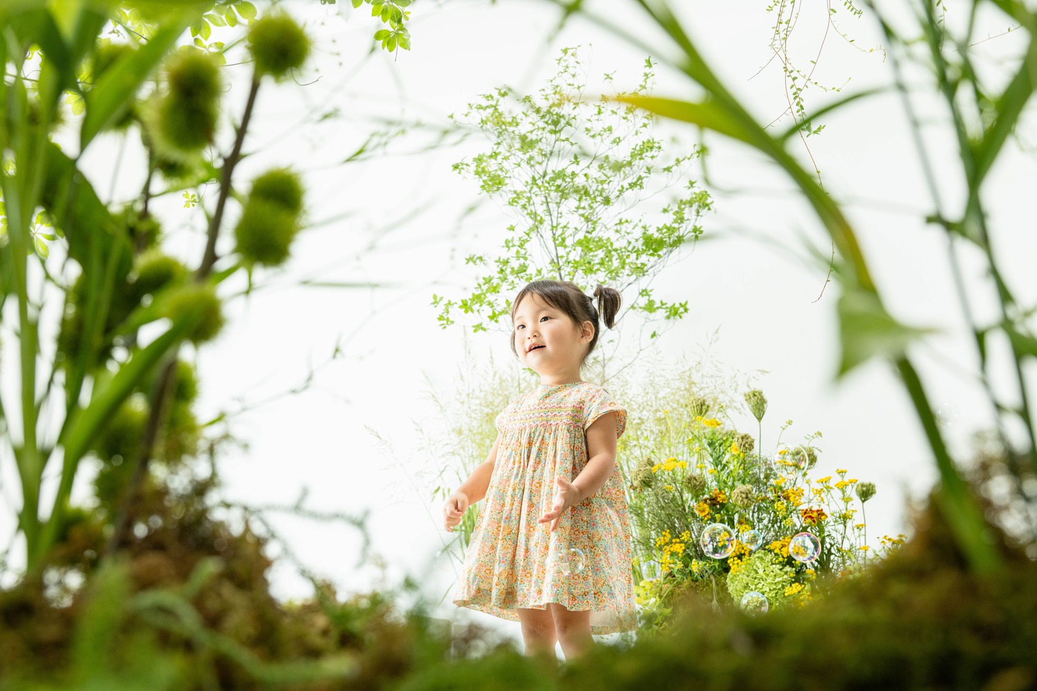 キッズ・マタニティフォト